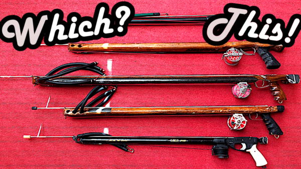 Speargun Spearfishing Harpune kaufen welche Kaufen Empfehlung starten beginnen Review Test