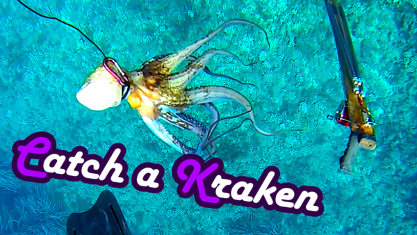 octopus Oktopus fangen catch and cook kill töten ausnehmen zubereiten recipe Polpo Polpi Anleitung Rezept Tutorial Guide Oktopuss Tintenfisch Sepia