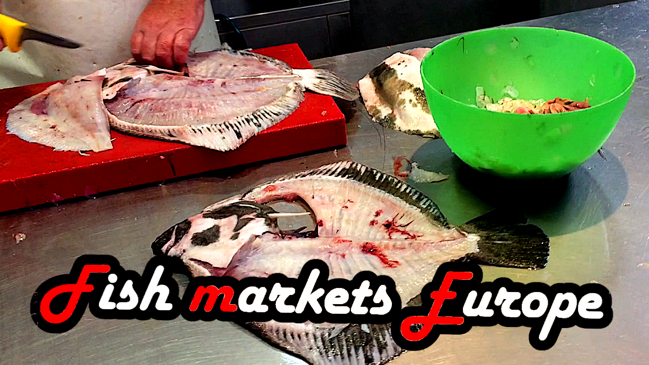 Fisch Märkte Markt Fischmarkt Valencia Palma Venedig Wien Naschmarkt Rialto kaufen frisch