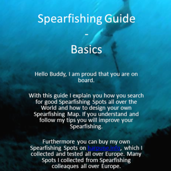 Spearfishing Basic Guide Anleitung Spots Karten Spot Fischen Angeln Fishing Harpune lernen learn Tutorial Speargun GER