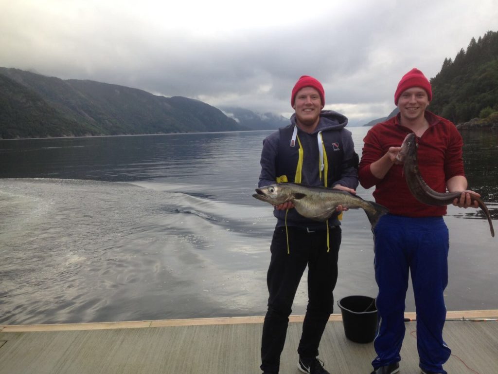 Pollack fishing Polack Leng Boat Boot Norway Norwegen