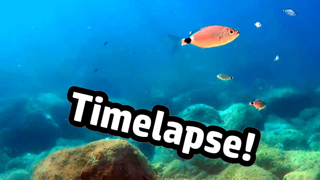 Unterwasser Zeitraffer mit der GoPro Kamera filmen underwater timelapse time lapse Dubrovnik Heider Bergsee
