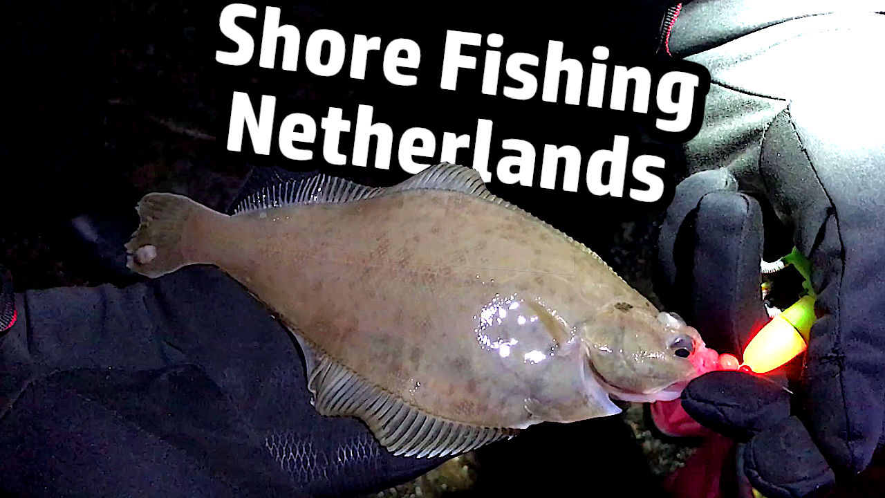 Shore Fishing Netherlands Niederlande Brandungsangeln Brandung angeln fishing Plattfisch Kliesche Flunder Flatfish