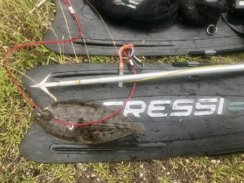 Spearfishing Denmark Sole Seezunge Plattfisch Fiske Dänemark Speerfischen Harpunieren Harpune Pole Spear
