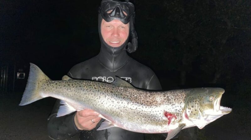 Seatrout Meerforelle Spearfishing Spearo International Trophy record list
