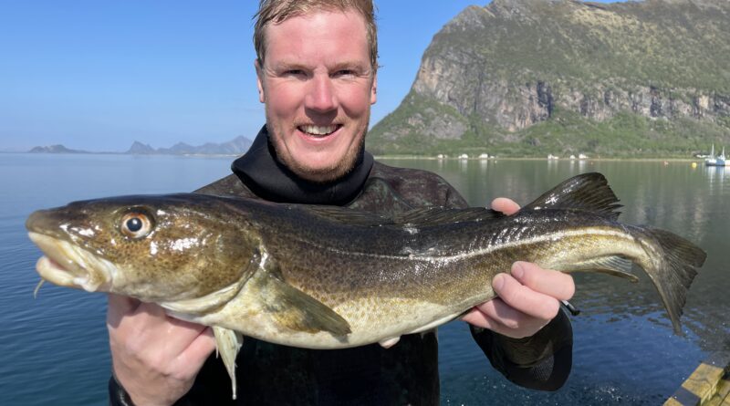 Torsk Cod Dorsch Makrele Spearfishing Spearo International Trophy record list