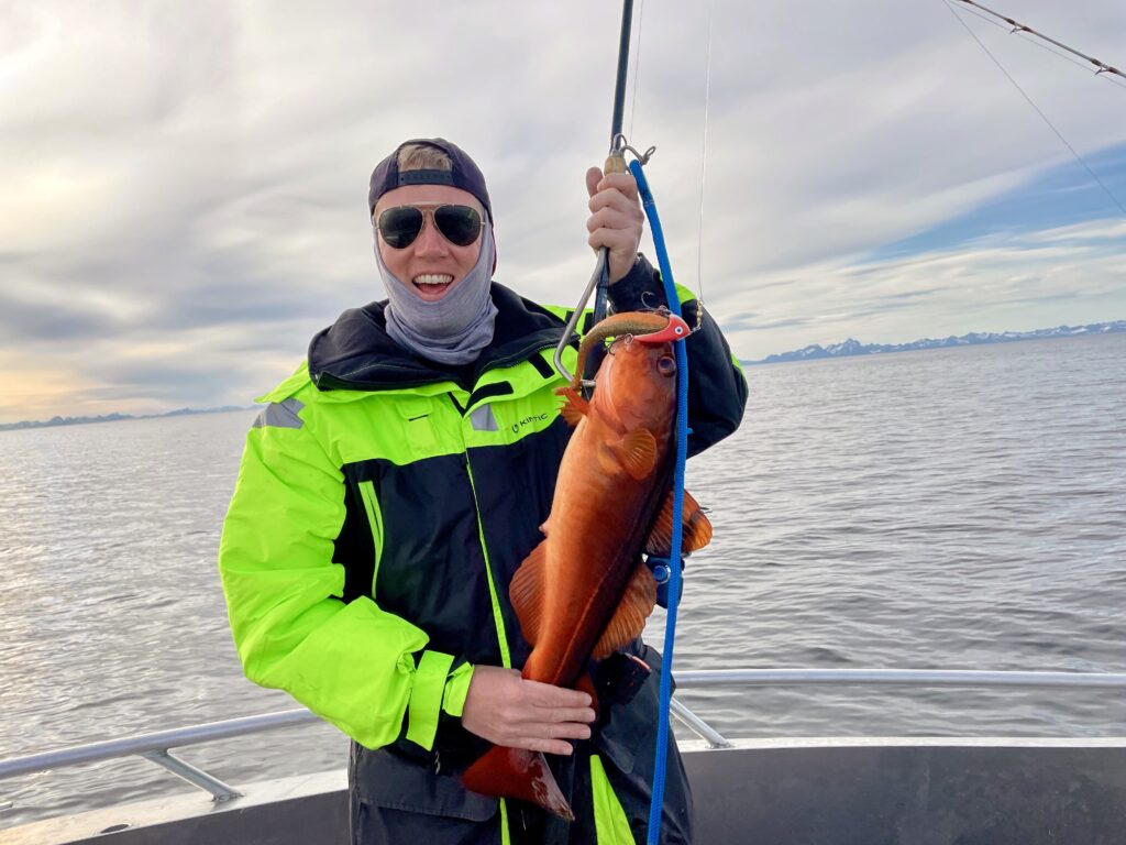 Norwegen-Tangdorsch-Angeln-Gaff-Tang-Dorsch-Roter-Fisch-Rot