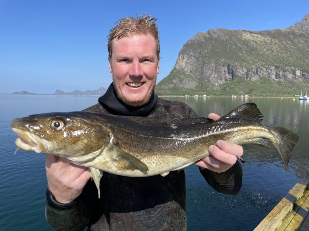 Spearfishing-Cod-Dorsch-Speargun-Harpune-Fische-Norwegen-Norway-1-1