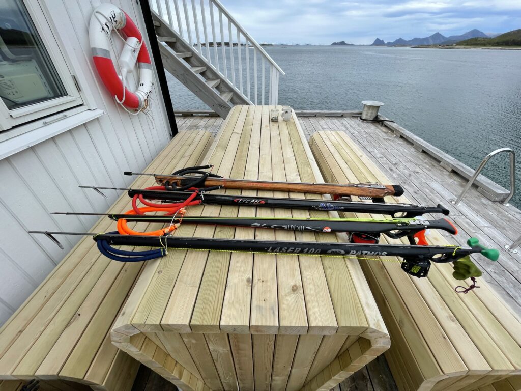 Spearguns-Norway-Norwegen-Harpune-Pathos-Laser-C4-Gladius-Lycan-Bluetec-Bleutec-Teak-Wooden