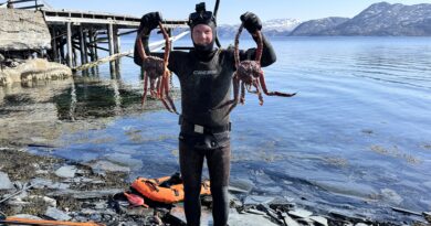 Spearfishing Buoy Boje Harpunieren Signalboje Apnoe Speargun Tipps Tips Harpune