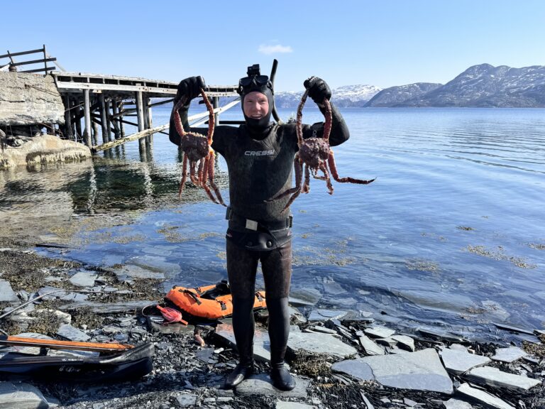 Spearfishing Buoy Boje Harpunieren Signalboje Apnoe Speargun Tipps Tips Harpune