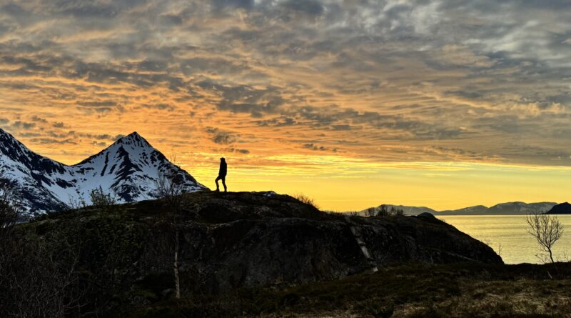 Norway Roadtrip Spearfishing Nordkap Nord Kap Lofoten 2025 Kingcrab Königskrabben