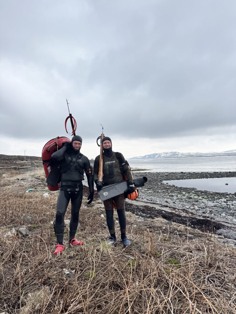 Spearfishing Norway Speerfischen Norwegen Fischen angeln Harpune Harpunen Norge