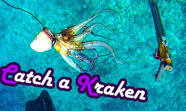 octopus Oktopus fangen catch and cook kill töten ausnehmen zubereiten recipe Polpo Polpi Anleitung Rezept Tutorial Guide Oktopuss Tintenfisch Sepia