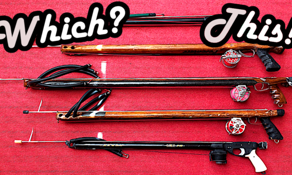 Speargun Spearfishing Harpune kaufen welche Kaufen Empfehlung starten beginnen Review Test